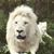 Kathy Ellis's profile image
