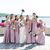 Gina M Piccirilli's profile image