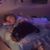 Michelle Cheek Findley's profile image