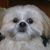 John Kabat's profile image