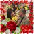 Hy Tuyet Anh Nguyen's profile image