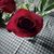 Kimberly Boice's profile image