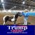 Carey Casper's profile image