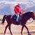 Frank P. Araujo's profile image