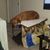 Tonya Repine's profile image