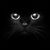 Laura Charlet's profile image