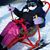 Debra Coulter's profile image