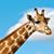 Stuart J. Galloway's profile image