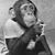 Joe Erwin's profile image