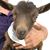 Troy A Mellott's profile image