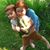 Laurie Tibbetts Howell's profile image