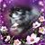 Keith Walker's profile image