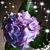 Phyllis Perdue's profile image