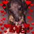 Ruth Lounsberry's profile image