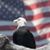 Greg Cheever's profile image