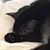 Seana Skees's profile image