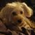 Collette OMara's profile image