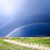 Kathy Kendall Womack's profile image