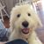Elaine Yearwood Stockton's profile image