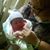 Cyndi Harris's profile image