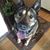 Judy Brower Burk's profile image