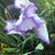 Anda Hayes's profile image