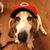 Max Tucker's profile image