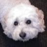 Harry G.'s profile image