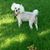 Penny Dennis Lee's profile image