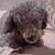 Cathy Kinman's profile image