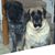 Margo Linton Allen's profile image