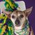Robin Ferron's profile image