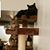 Heather Avison Kaefer's profile image