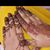 Tahseen Zehra's profile image