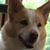 Tammy Smith's profile image