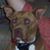 Michael Baugh's profile image