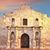 Mel Hammons Carrasco's profile image
