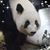 Belinda Bernhardt Davis's profile image