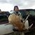 Richard Carroll's profile image