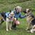 Judy Farrell's profile image