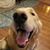Lori Smith's profile image