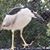 Linda Russo Platt's profile image