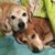 Sally J. Vainner's profile image