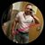 Hector Jaime Maldonado's profile image