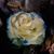 Thaila Perez's profile image