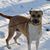 Cheryl DeLong's profile image