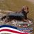 Karri Hasse's profile image