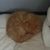 Hugh Kurpierz's profile image