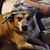 Kathy Arnold Ronan's profile image