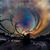 Donita Fults's profile image